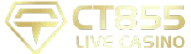 icon ct855